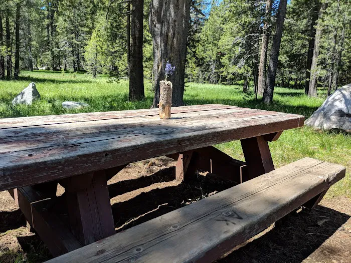 Sagehen Creek Campground Picture 3
