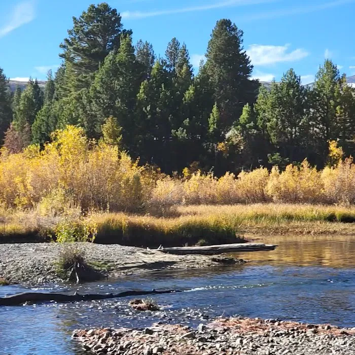 Sagehen Creek Campground Picture 9