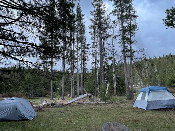 Sagehen Creek Campground Picture 4