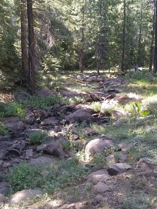 Sagehen Creek Campground Picture 2