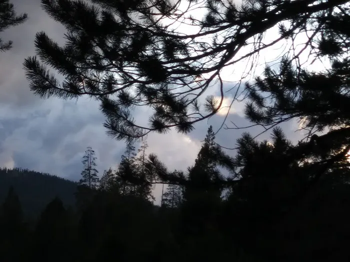 Sagehen Creek Campground Picture 1