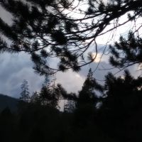 Sagehen Creek Campground ico