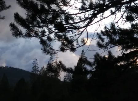 Sagehen Creek Campground