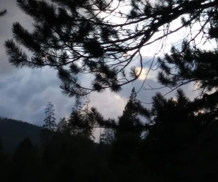 Sagehen Creek Campground