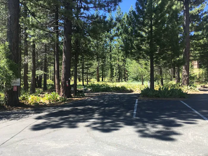 Tahoe Donner Campground Picture 5
