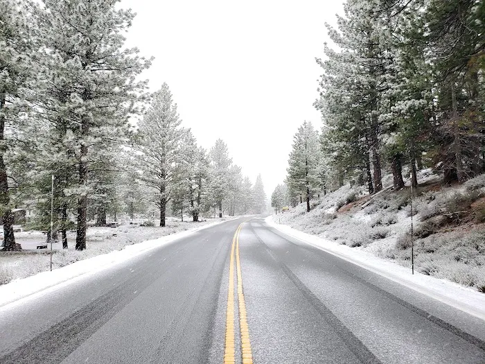 Upper Little Truckee Campground Picture 9