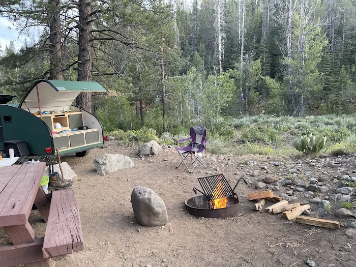 Upper Little Truckee Campground Picture 8