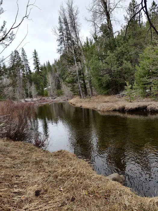 Upper Little Truckee Campground Picture 2