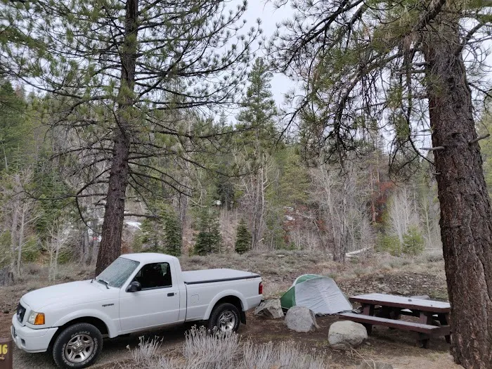 Upper Little Truckee Campground Picture 3