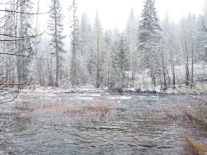 Upper Little Truckee Campground Picture 10