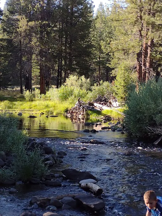 Upper Little Truckee Campground Picture 1