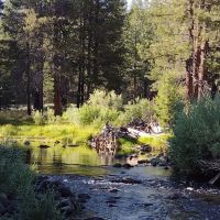 Upper Little Truckee Campground ico