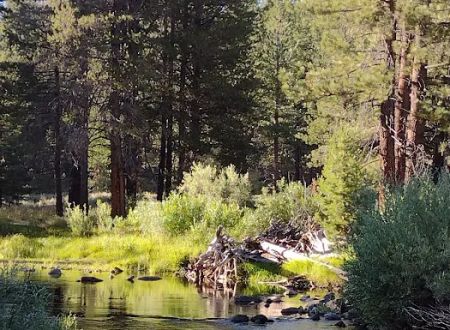 Upper Little Truckee Campground