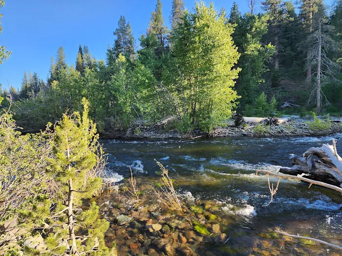 Lower Little Truckee Campground Picture 9