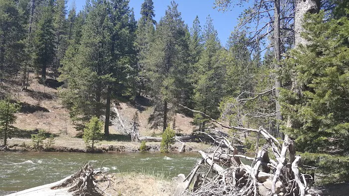 Lower Little Truckee Campground Picture 10