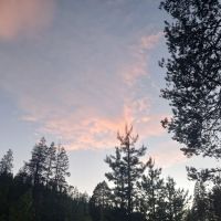 Lower Little Truckee Campground ico