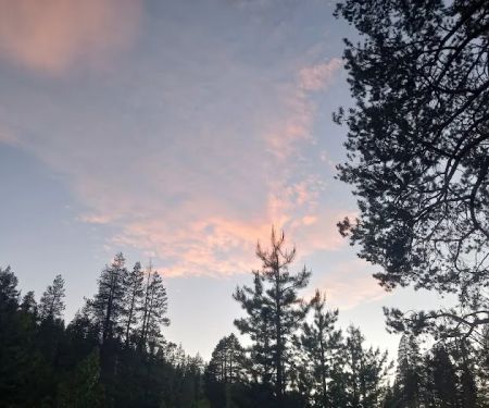 Lower Little Truckee Campground