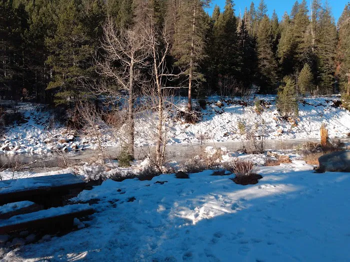 Lower Little Truckee Campground Picture 8
