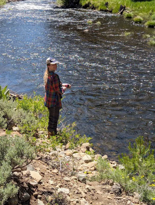 Lower Little Truckee Campground Picture 3