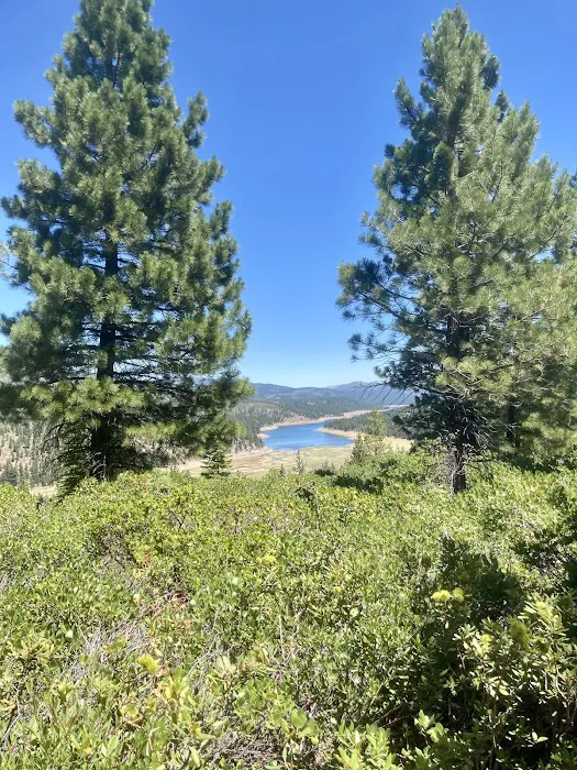 Lower Little Truckee Campground Picture 5