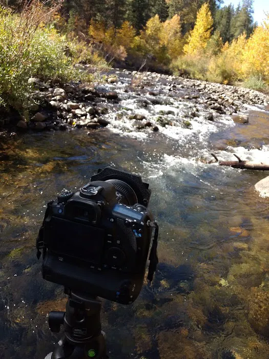 Lower Little Truckee Campground Picture 2