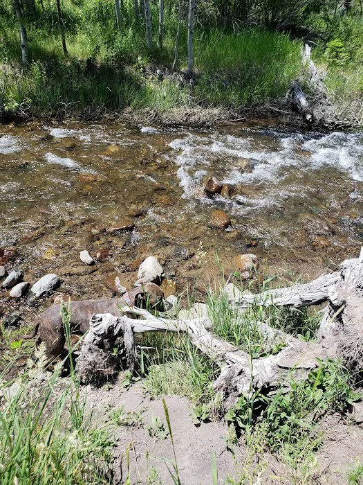 Cold Creek Campground Picture 8