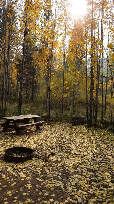 Cold Creek Campground Picture 4
