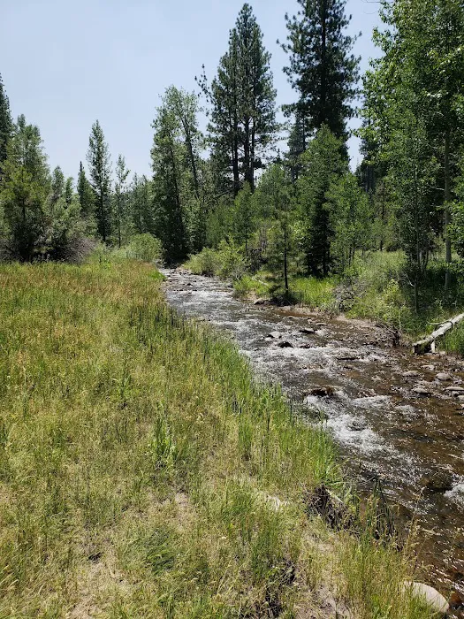 Cold Creek Campground Picture 10