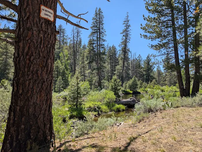 Cold Creek Campground Picture 9