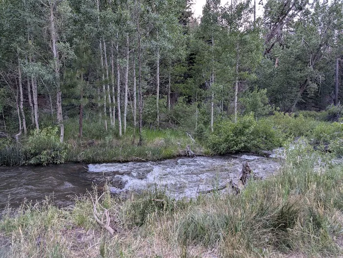 Cold Creek Campground Picture 6