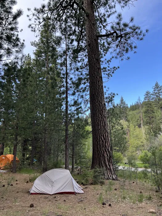 Cold Creek Campground Picture 3