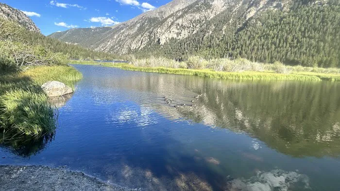 Cottonwood Creek Campground Picture 6