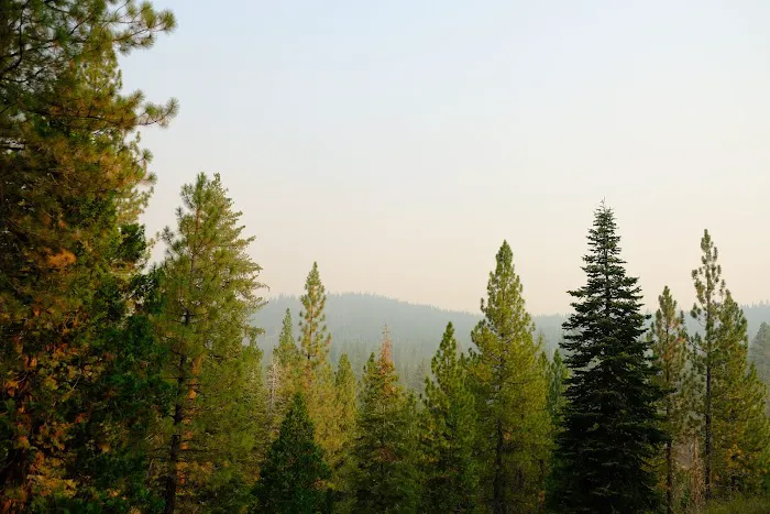 Cottonwood Creek Campground Picture 5