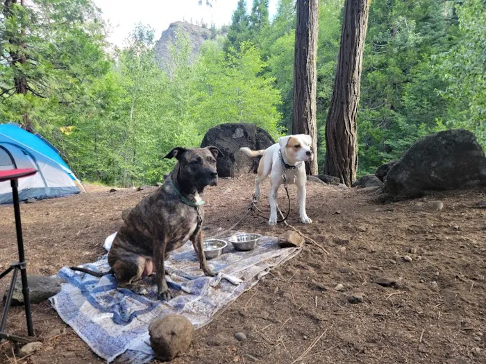 Wild Plum Campground Picture 7