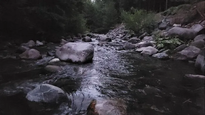 Wild Plum Campground Picture 2