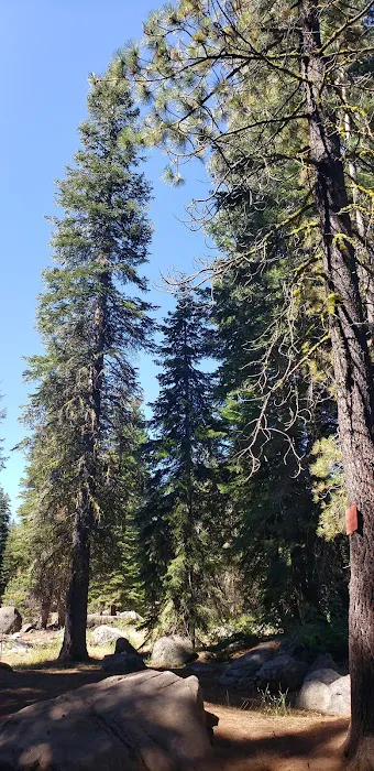 Silver Fork Ranch Picture 4