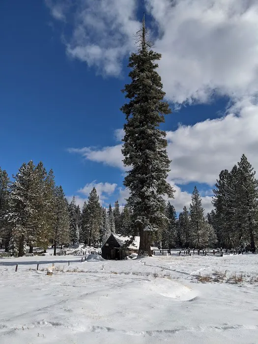 Silver Fork Ranch Picture 8