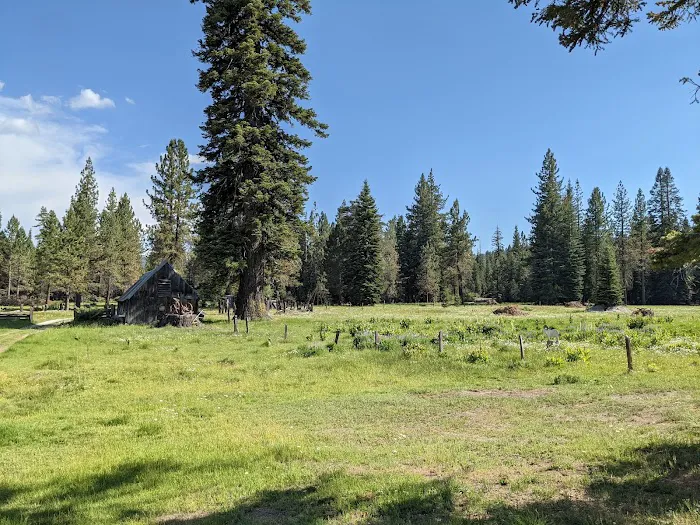 Silver Fork Ranch Picture 2