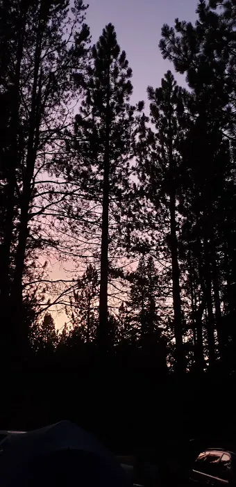Silver Fork Ranch Picture 3