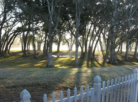 Dee's RV Park Picture 5