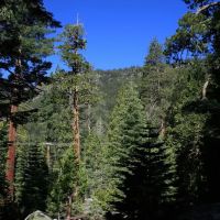 Lovers Leap Campground ico