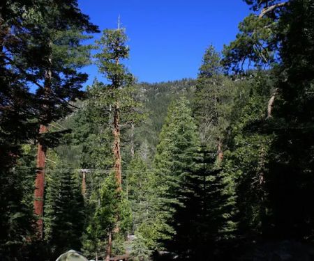 Lovers Leap Campground