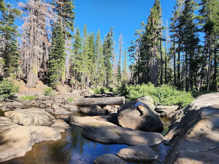 Silver Lake Campground West Picture 9