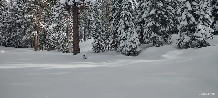 Silver Lake East- Eldorado Picture 3