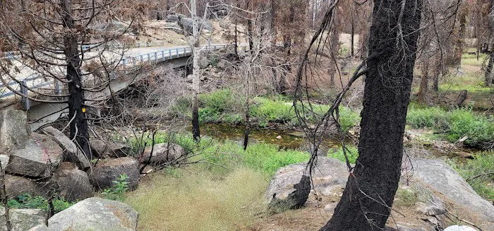 Capps Crossing Campground Picture 7