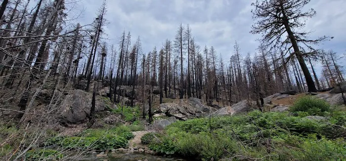 Capps Crossing Campground Picture 4