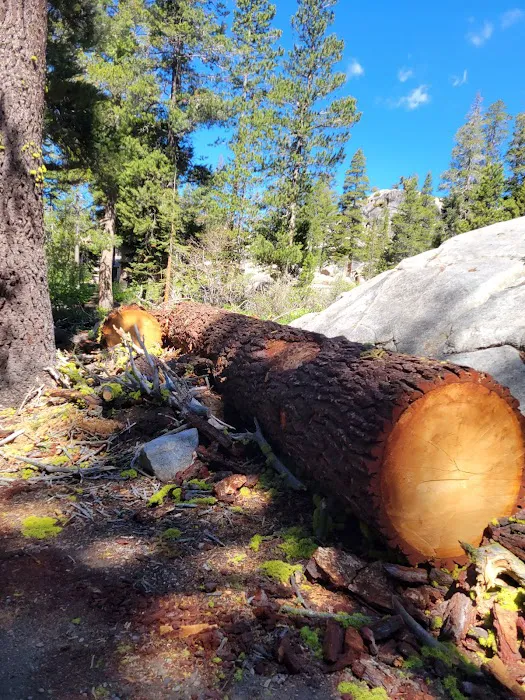 Kirkwood Campground (recgovnpsdata) Picture 3