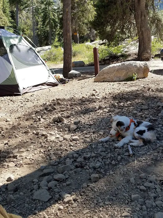 Kirkwood Campground (recgovnpsdata) Picture 10
