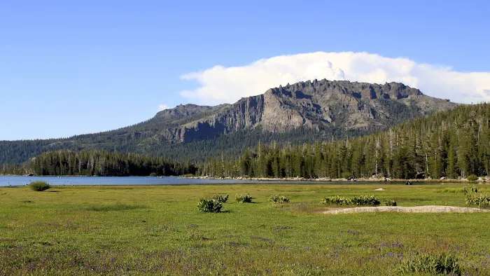 Plasse's Resort Picture 9