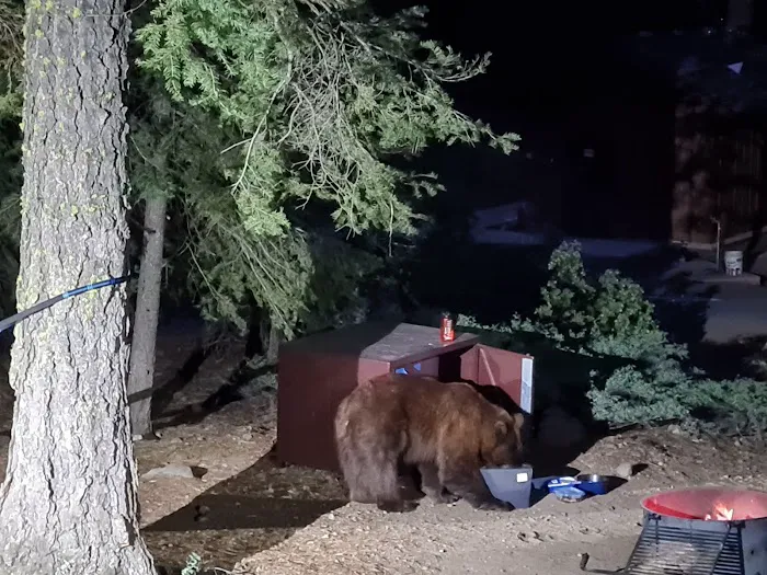 William Kent Campground Picture 2